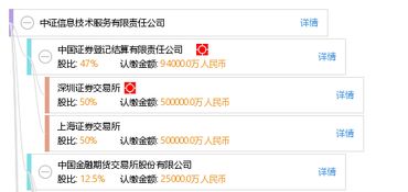 中證信息技術服務有限責任公司 軟件開發的引領者與創新實踐者