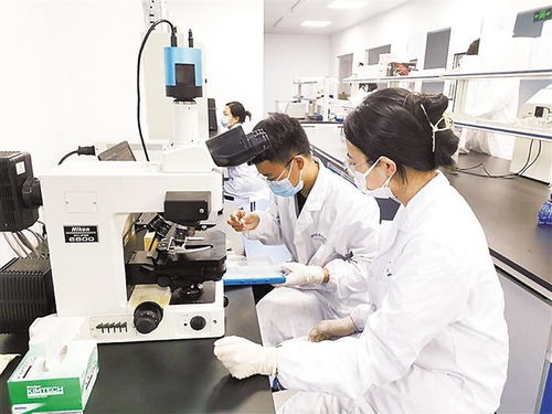 保定高新區技術創業服務中心累計培育高新技術企業225家，信息技術咨詢服務引領創新