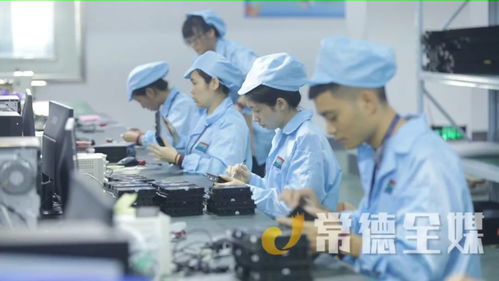 桃源培優“兩主兩特”產業，以信息技術咨詢服務助力挺進全省十強縣